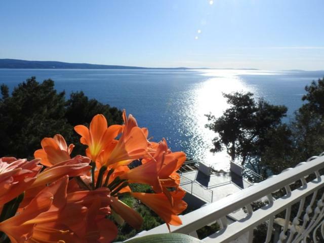Sunrise Vid Apartment Дуги Рат Екстериор снимка